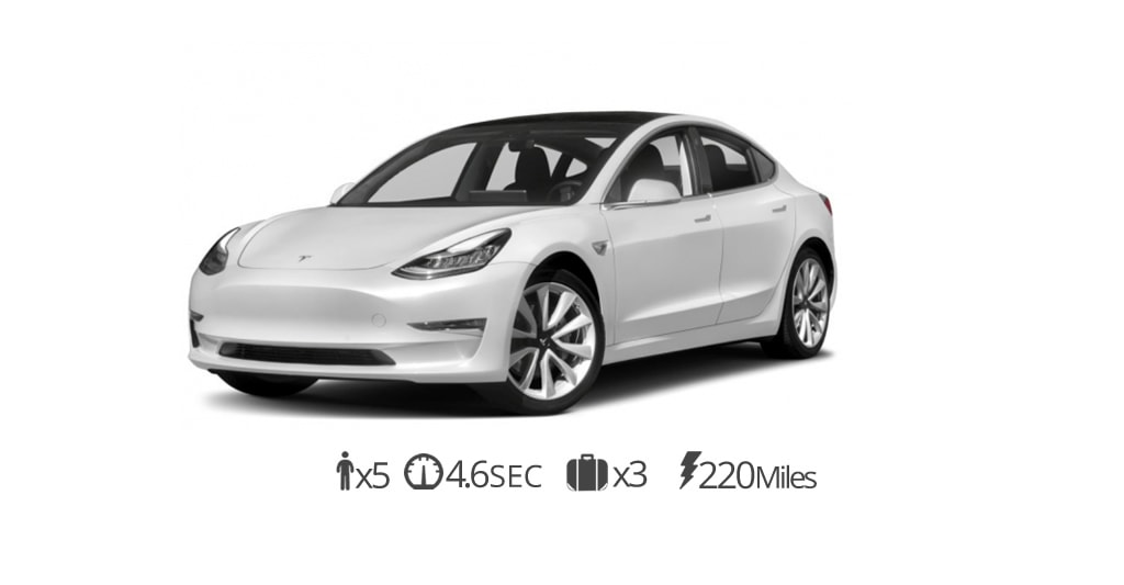 TESLA MODEL 3 rental