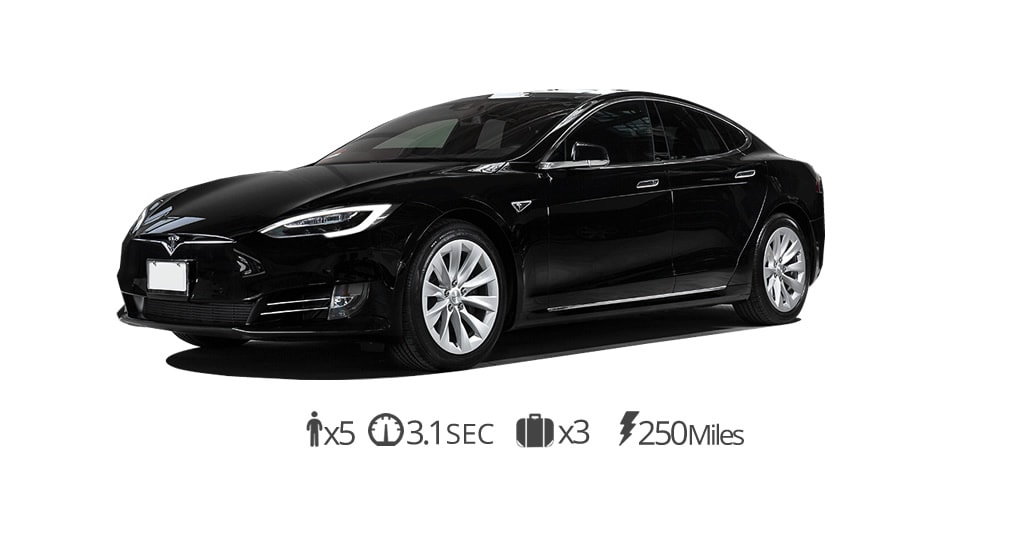 TESLA MODEL S rental